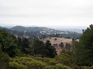 View of Oakland Hills from Chabot Space & Science Center