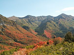 Wasatch Range Autumn