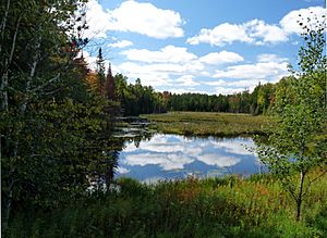 Much of the town is wild national forest land - wooded hills sprinkled with bogs and little lakes, like this one along CTH D.