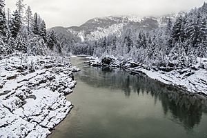 Winter on the Flathead River