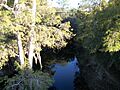 Withlacoochee River East of FL 575