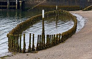 06150 UK - Outer Hebrides - Stornoway - Iolaire wreck memorial - V-P