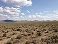 2013-07-04 15 37 14 Sagebrush-steppe along U.S. Route 93 in central Elko County in Nevada