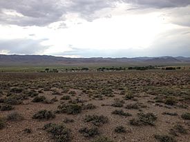 2014-07-18 18 10 25 View of Duckwater, Nevada from the east.JPG