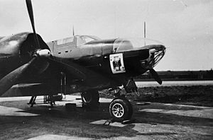 492d Bombardment Group Black Painted A-26 Invader