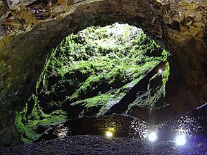 Algar do Carvão - Portugal (236262316)