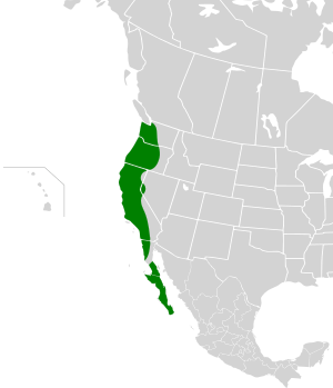 Aphelocoma californica map.svg