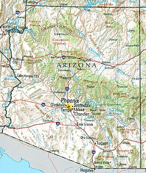 Arizona ref 2001