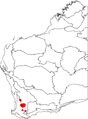 Banksia proteoides map