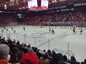 Blackbearshockey