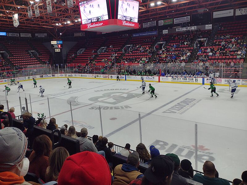 Blackbearshockey