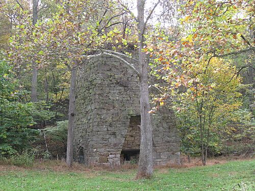 Bloomery Iron Furnace Bloomery WV 2008 10 12 01