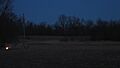 Bluff City Shell Mound site