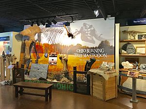 CEOhio exhibit