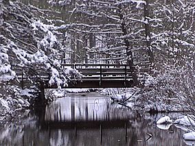 CGSP Snowy Bridge.jpg