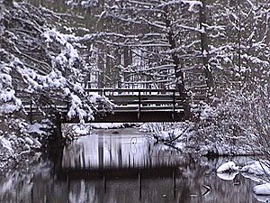 CGSP Snowy Bridge