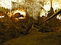 Carlsbad Caverns rail pic