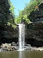 Cedar Falls Trail, Petit Jean State Park 010