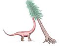 Cetiosauriscus restoration