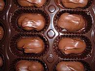 Chocolate-covered macadamia nuts