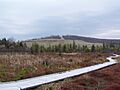 Cranesville Swamp - Bog