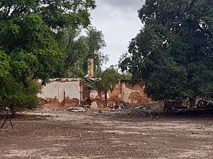 Creaton Ruins, Ravenswood, April 2020 03