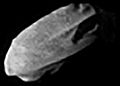 Daphnis (Saturn's Moon)