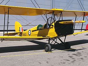 Dehavilland DH 82-C Tiger Moth CF-DHQ 01