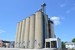 Community grain elevator