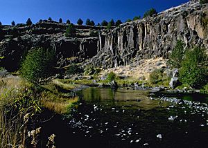 Donner und Blitzen River, Harney County, Oregon.jpg