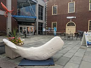 Entrance at New Bedford Whaling Museum