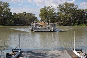 Ferry at Lyrup, South Australia.jpg
