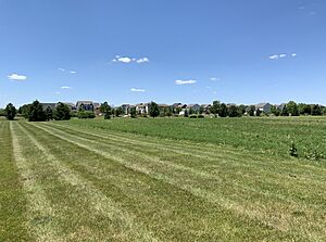 Field next to Neighborhood at Anson