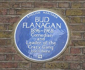 Flanagan-plaque