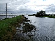 Flooding as seen from the road bridge at Short Ferry - geograph.org.uk - 487264