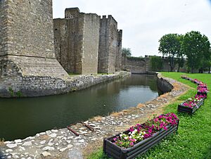 Fortress Smederevo 11