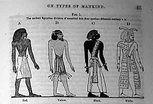 Four-'species'-of--Egypt