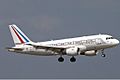 French Air Force Airbus A319CJ Deak