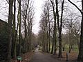 Friary Park avenue