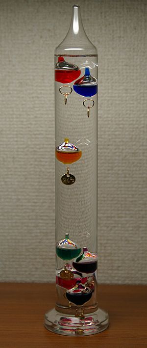 Galileo Thermometer 24 degrees