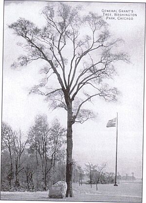 Grant Tree1