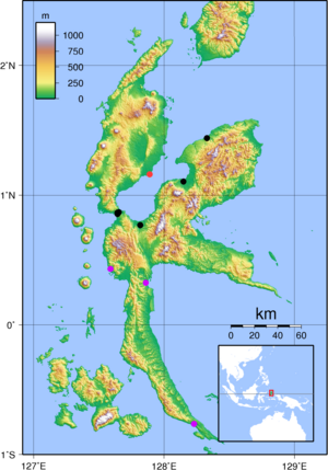 Habroptila wallacii halmahera map.png