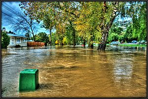 Heathcote River Flood, Christchurch