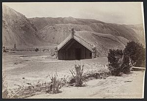 Hinemihi Meeting House after Tarawera eruption 1886
