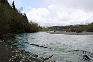 Hoh river in spring