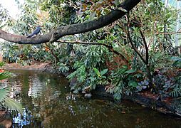 Interior - National Aviary - DSC05710