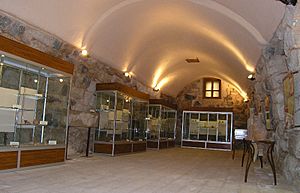 Irbid Archeolog.Museum