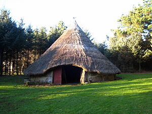 Iron Age roundhouse reconstruction - geograph.org.uk - 1617159