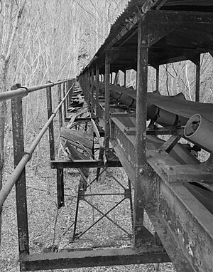 Kay Moor conveyor