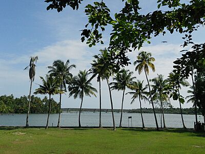 Kerala backwaters